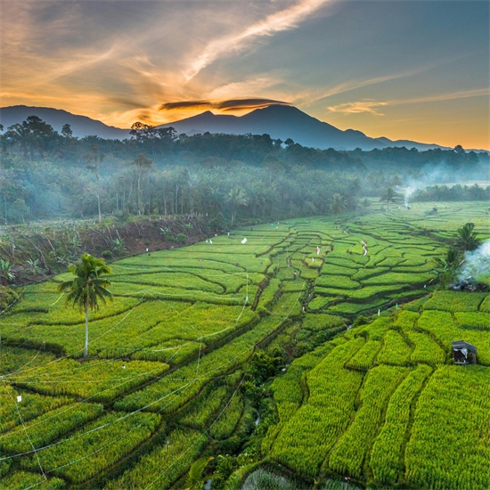 Sumatra
